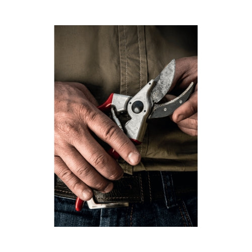 Felco 2 Pruner