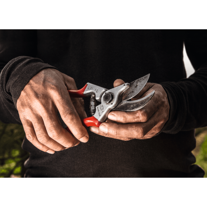 Felco 4 Pruner
